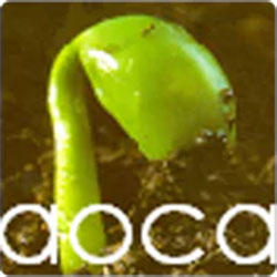 AOCA