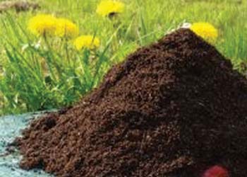 BIO-ORGANIC FERTILIZER