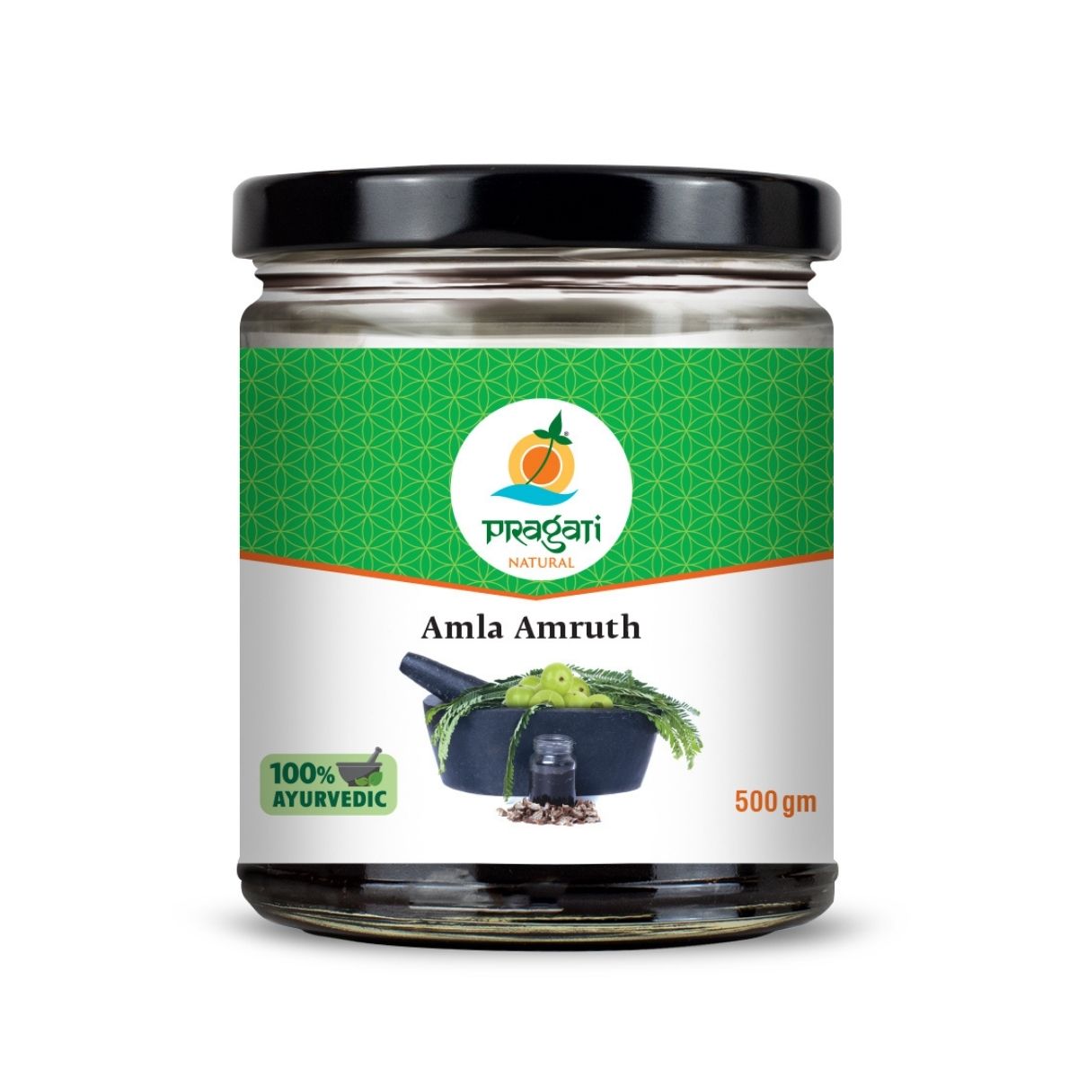 Amla Amruth Powder 500g