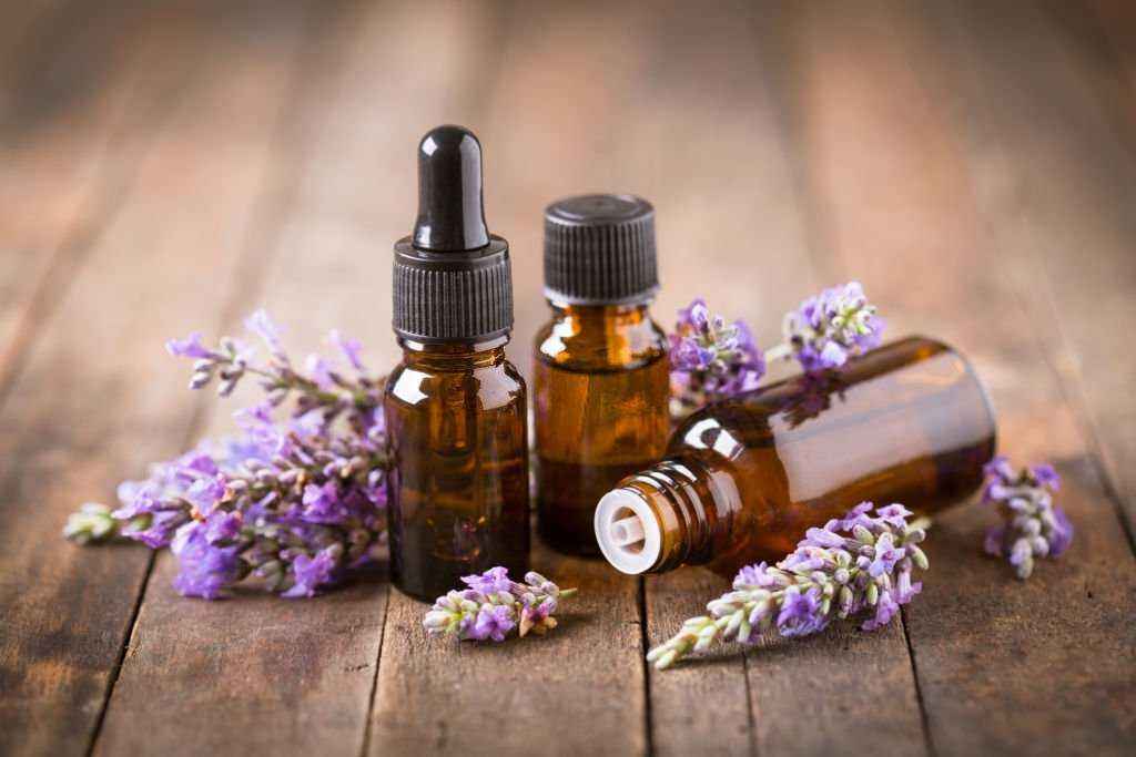 Lavender Oil