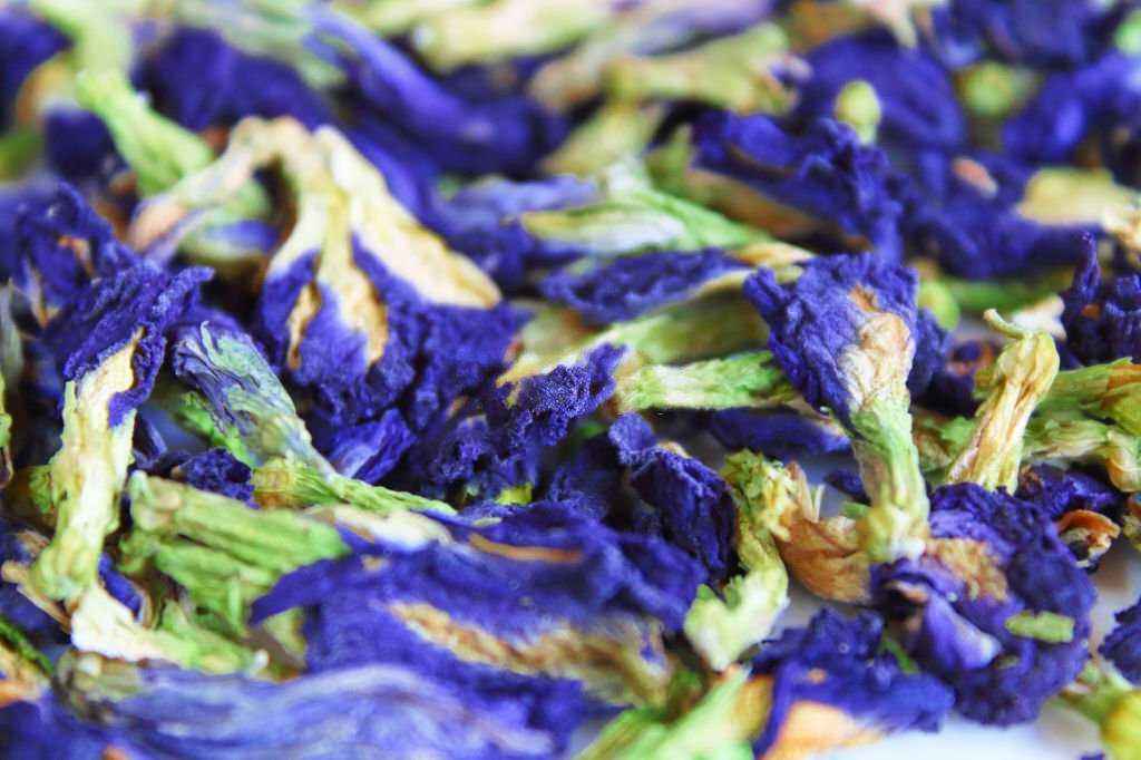 Dried Blue pea flowers