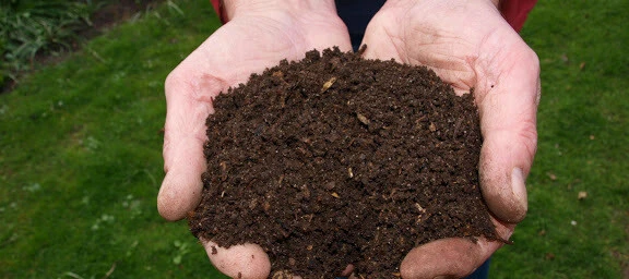 Vermicompost