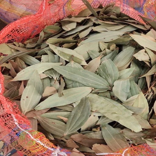 Dry Bay Leaf