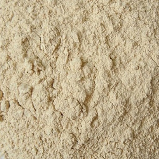 DEHYDRATED GARLIC POWDER