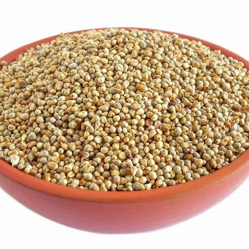 Pearl Millet