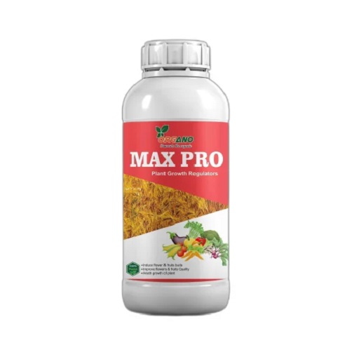 Max Pro