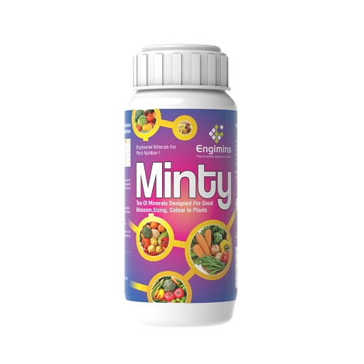 Plant Nutrients Engimins Minty