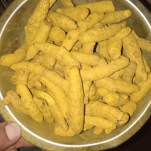 Turmeric finger