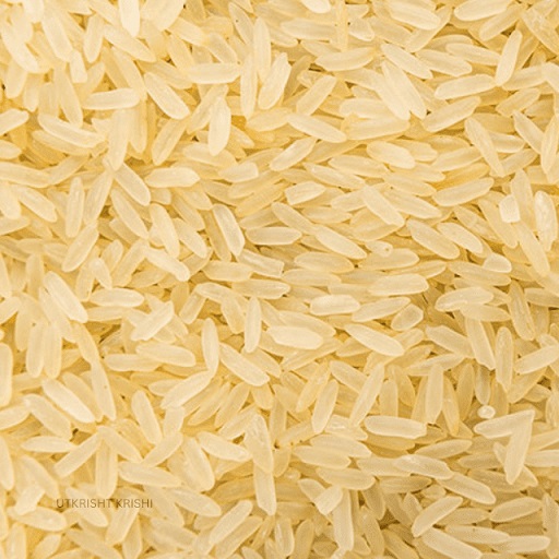 basmati rice