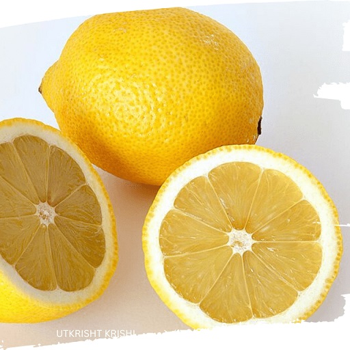 Lemon