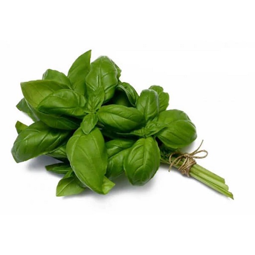 Organic Basil - Italian