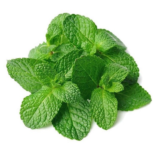 Organic Peppermint