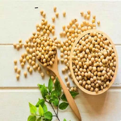 Organic Soyabean