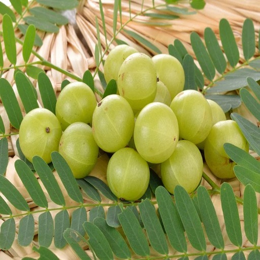 Organic Amla