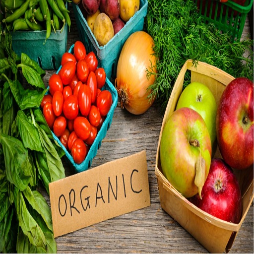 Organic Fresh Fruits