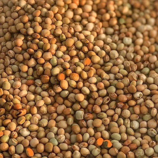 Organic Pigeon Peas