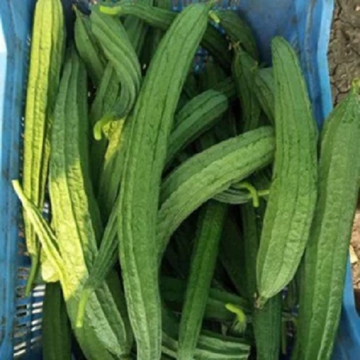 Organic Ridge gourd