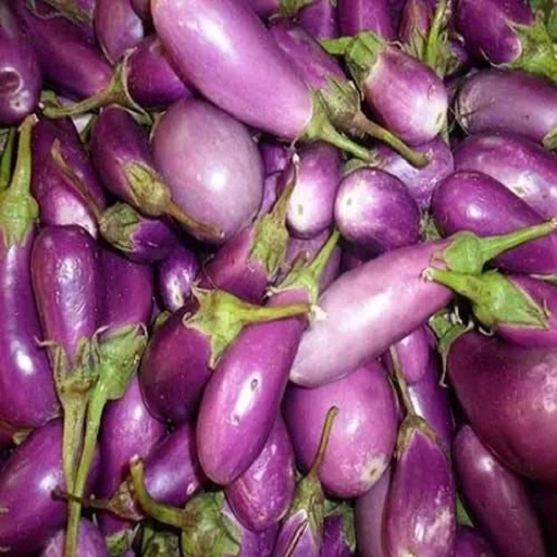 Organic Brinjals (Eggplant)