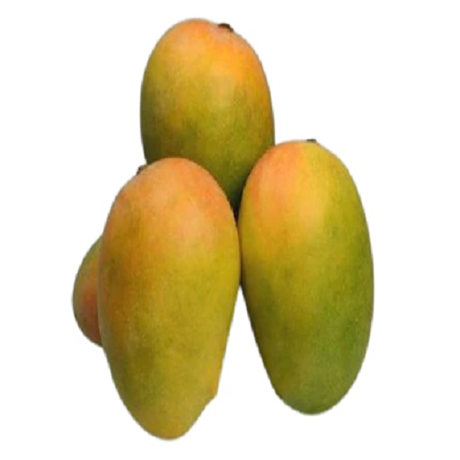 Organic Mango