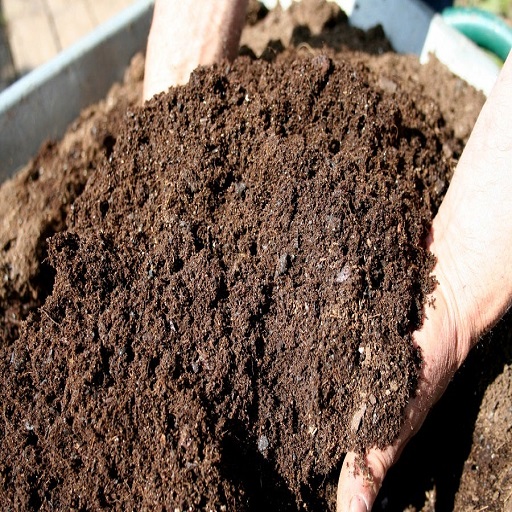 Organic Fertilizer