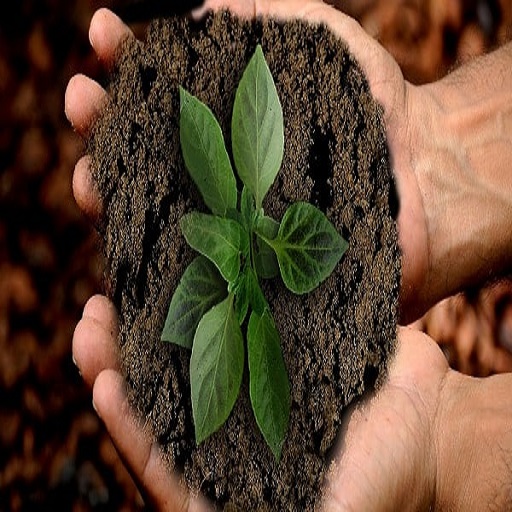 Organic Plant Growth Promoters