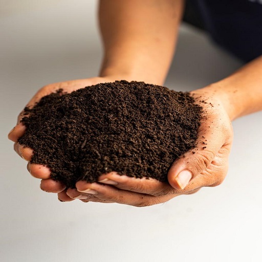 Organic Vermicompost