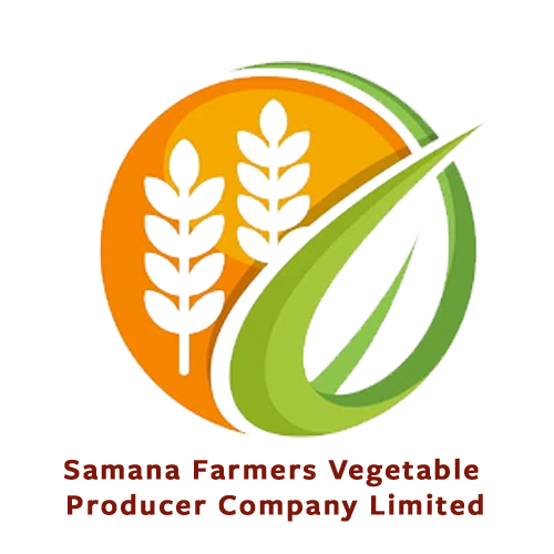 Samana Farmers Vegetable Producer Company Limited