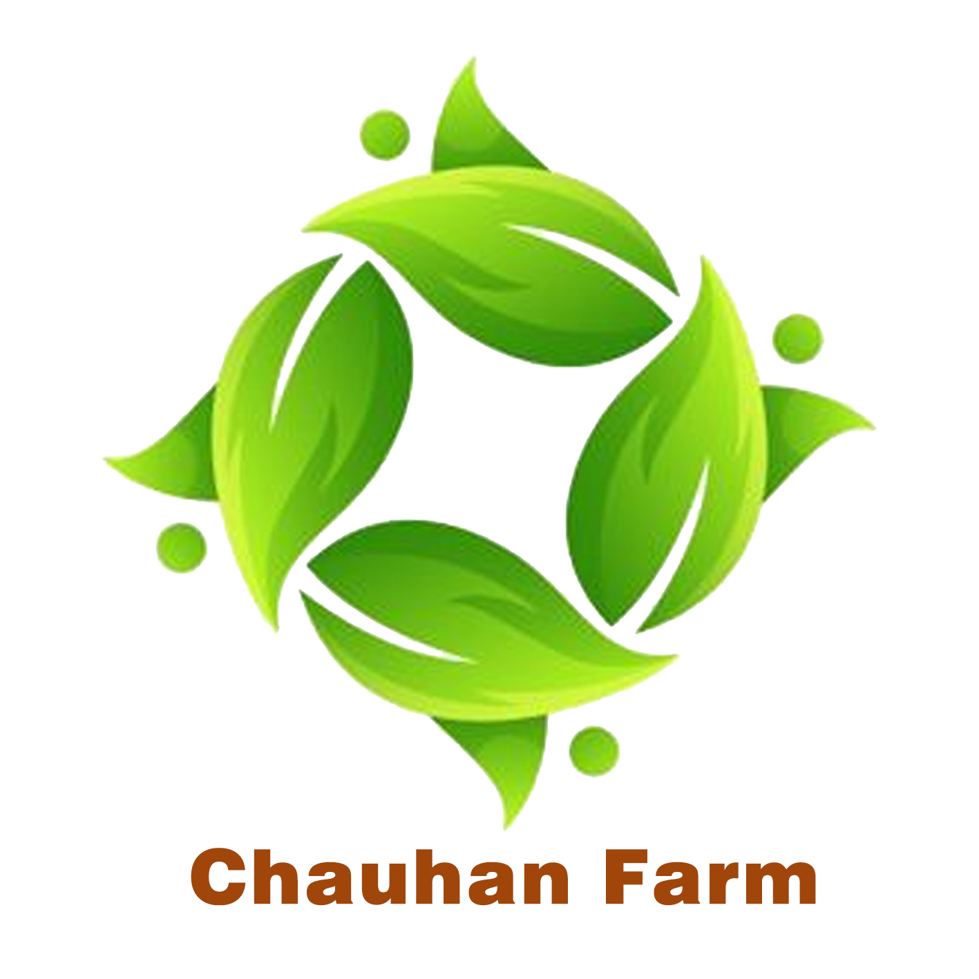 chauhan farm