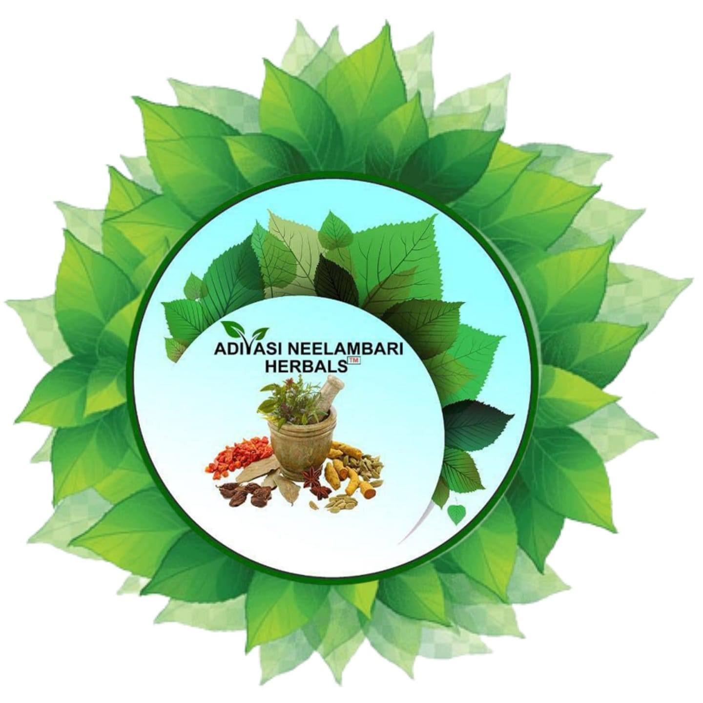 Neelambari Adivasi Herbal Hair Oil logo