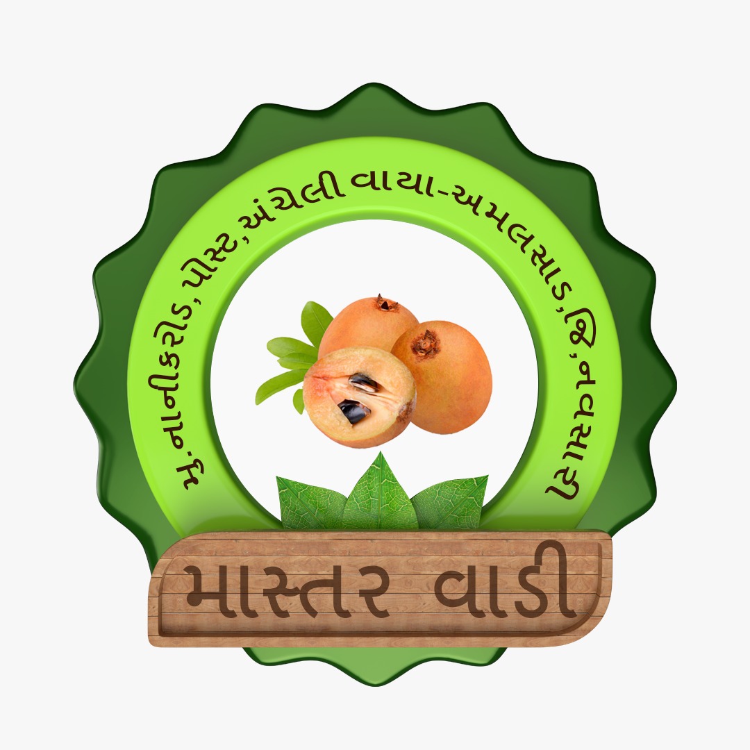 Master Vadi logo