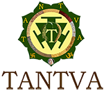 TANTVA Group logo