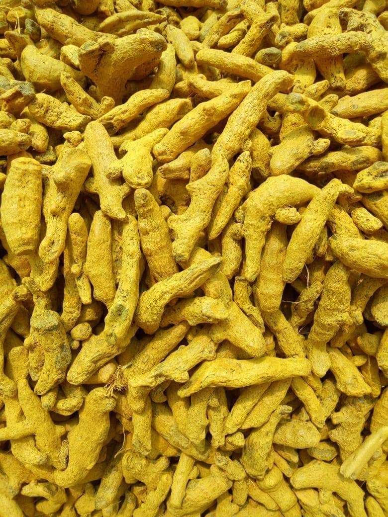 Waigoan Turmeric Powder