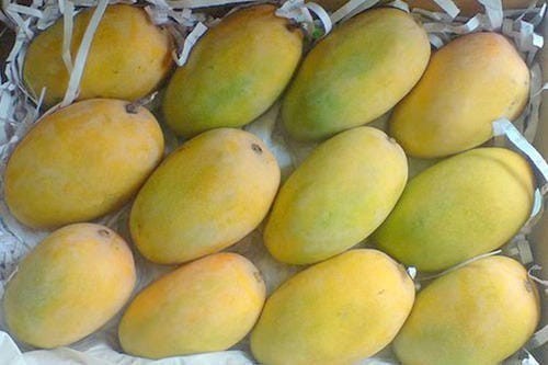 Kesar Mango