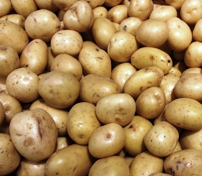 Organic Potato