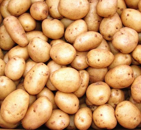 Organic Potato