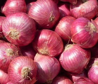 Organic Onion