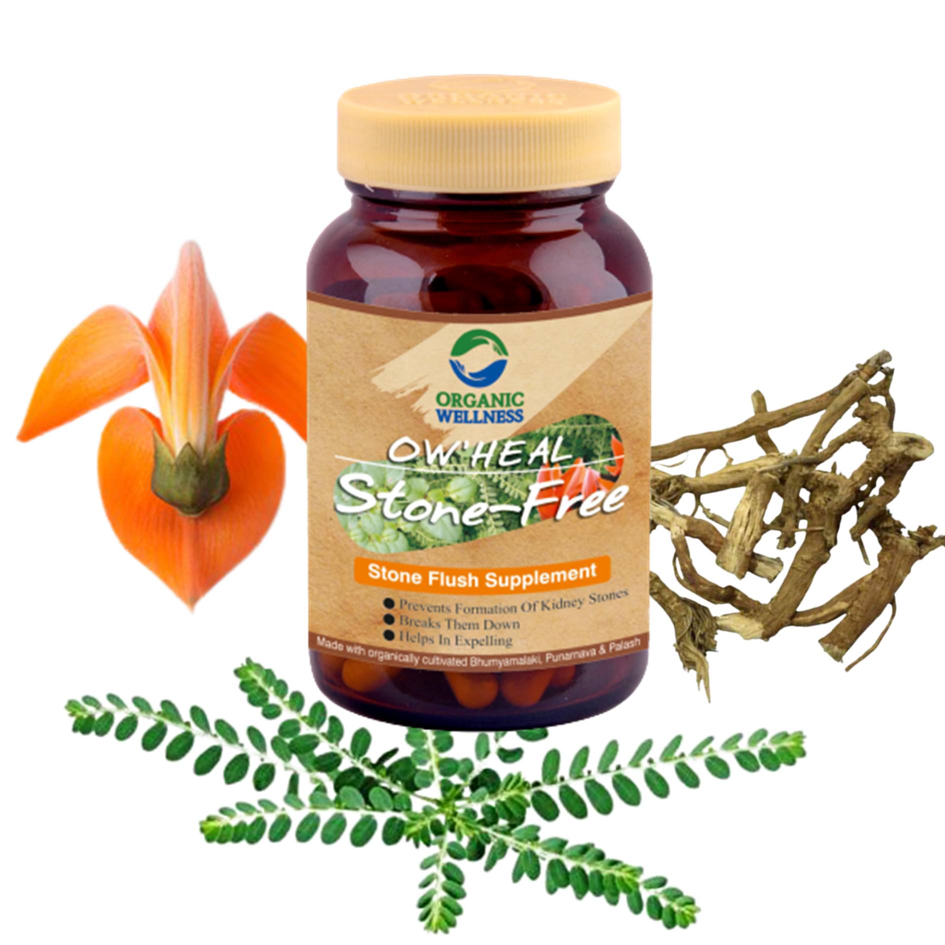 Organic Wellness Stone Free 90 Capsules Bottle