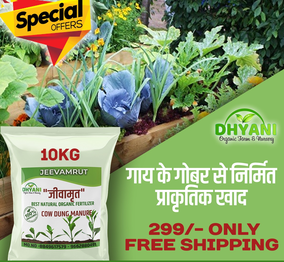 Jeevamrut (Cow Dung Manure) By Dhyani Organic Farm (10kg)