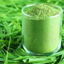 Wheat Grass Powder