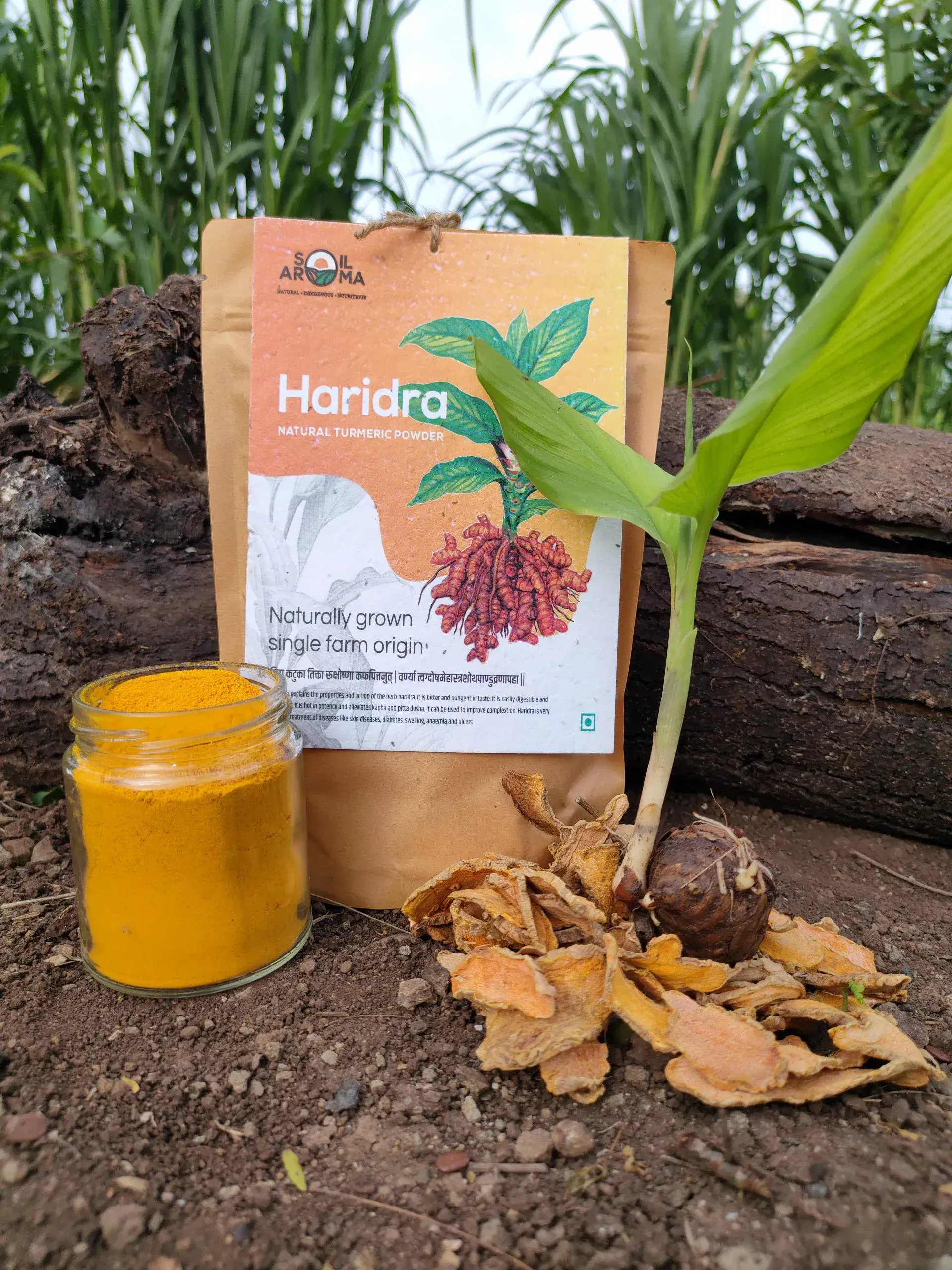 Indigenous Rajapuri Turmeric – 500gm