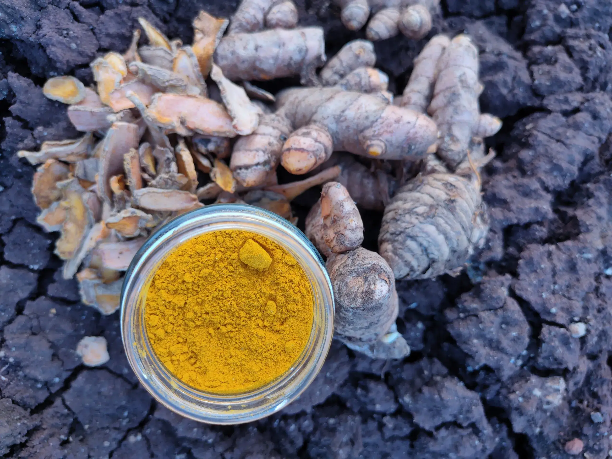 Indigenous Rajapuri Turmeric – 500gm