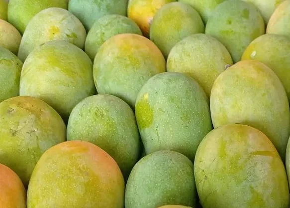 Organic Mango