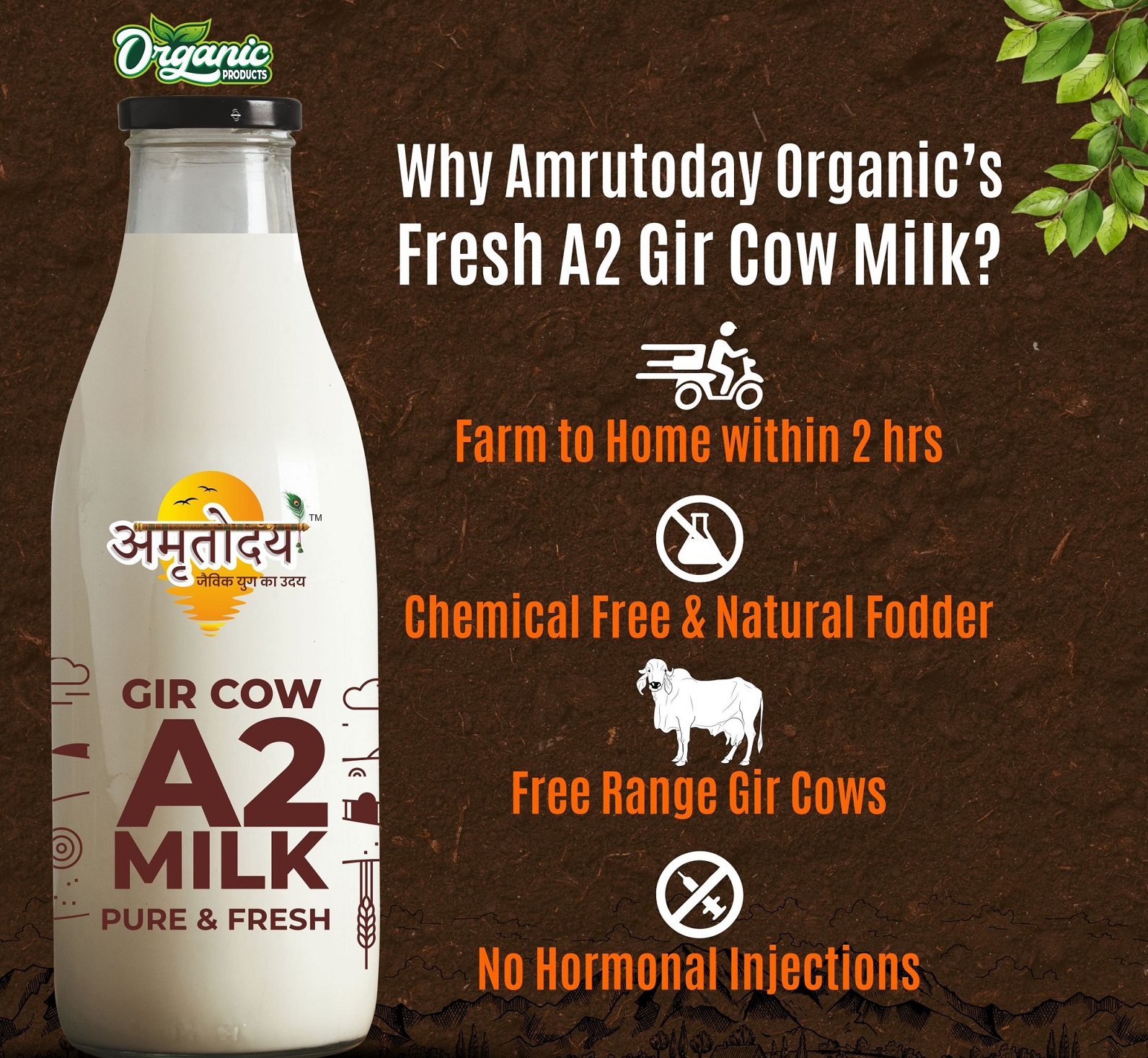 Gir Cow's Natural A2 Milk