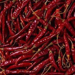 Red Chilli