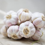 Organic Garlic