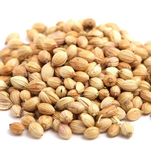 Coriander Seed Coriandrum Sativum