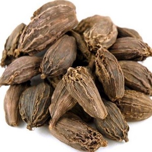 Large Cardamom