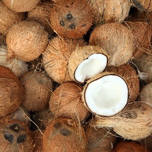 Coconut