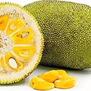 Jackfruit