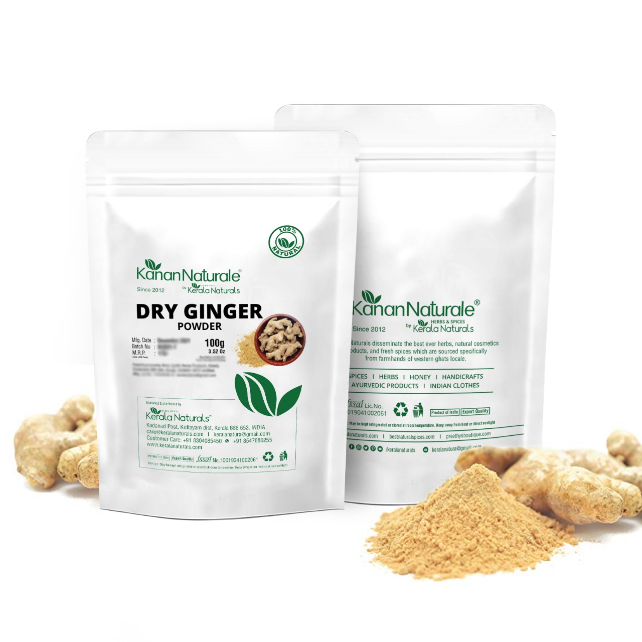 Dry Ginger Powder